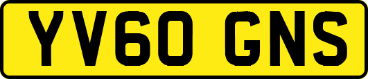 YV60GNS