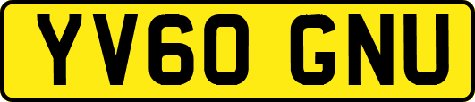 YV60GNU