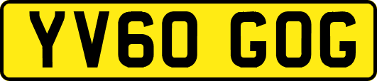 YV60GOG