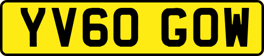 YV60GOW