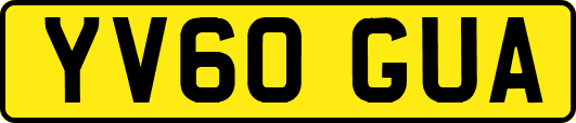 YV60GUA