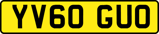 YV60GUO