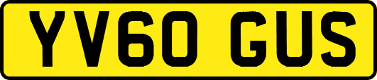 YV60GUS