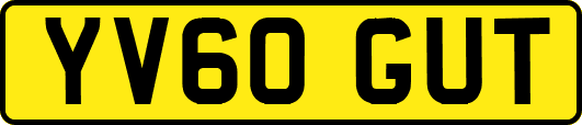 YV60GUT