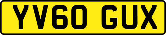 YV60GUX