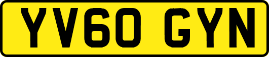 YV60GYN