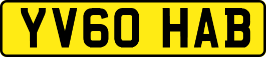 YV60HAB