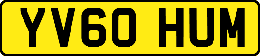 YV60HUM