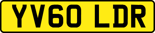 YV60LDR