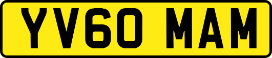 YV60MAM
