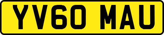 YV60MAU