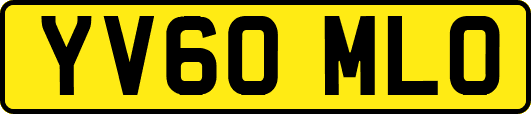YV60MLO