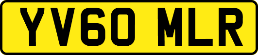 YV60MLR