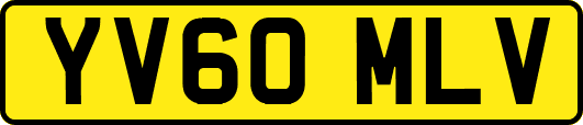 YV60MLV