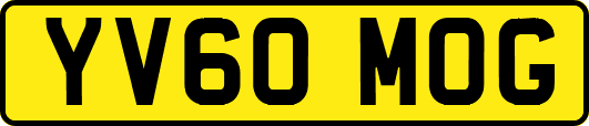 YV60MOG
