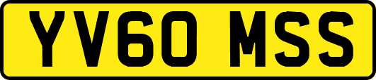 YV60MSS