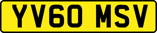 YV60MSV