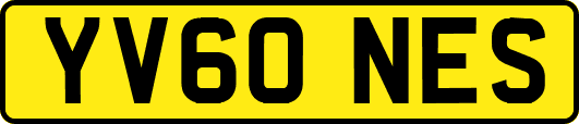 YV60NES