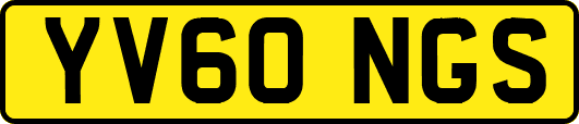 YV60NGS