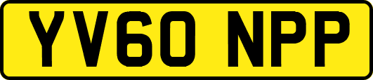 YV60NPP