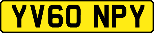 YV60NPY
