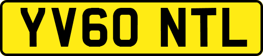 YV60NTL
