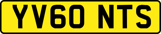 YV60NTS