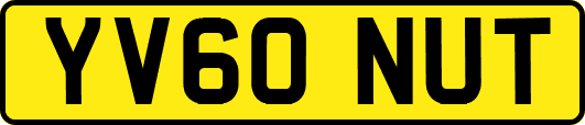 YV60NUT