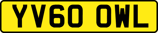YV60OWL