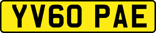 YV60PAE