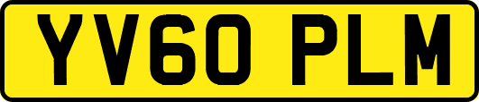 YV60PLM