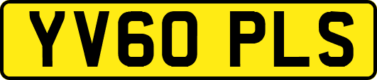 YV60PLS
