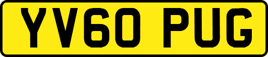 YV60PUG