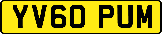 YV60PUM
