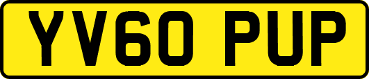 YV60PUP