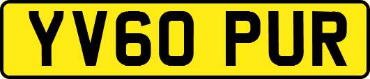 YV60PUR