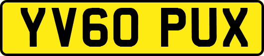 YV60PUX