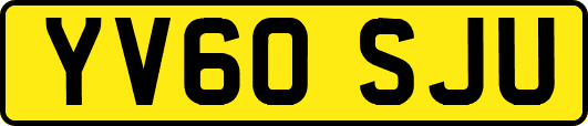 YV60SJU