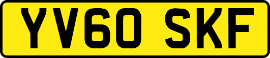 YV60SKF