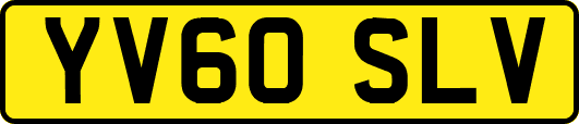YV60SLV