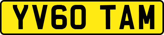 YV60TAM