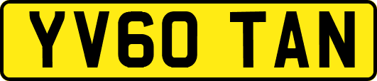 YV60TAN