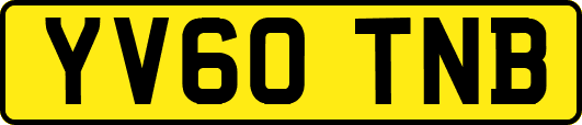 YV60TNB