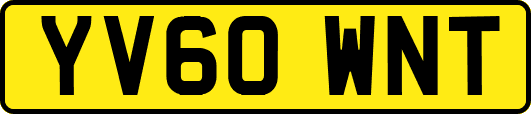 YV60WNT