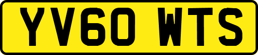 YV60WTS