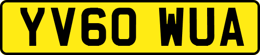 YV60WUA