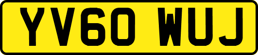 YV60WUJ