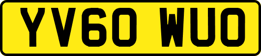 YV60WUO