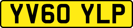 YV60YLP