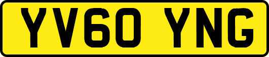 YV60YNG